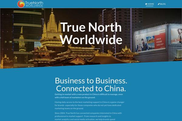 Angle theme site design template sample