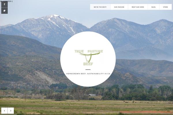 Site using Ecwid Shopping Cart plugin
