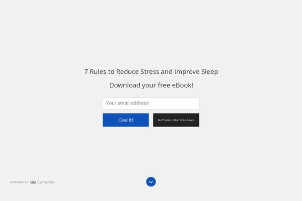 SteadyIncome theme site design template sample