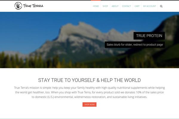 AccessPress Ray theme site design template sample