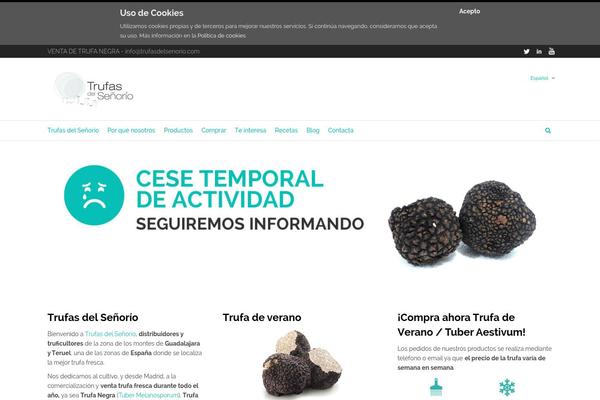 Site using Google Analytics y la ley de Cookies plugin