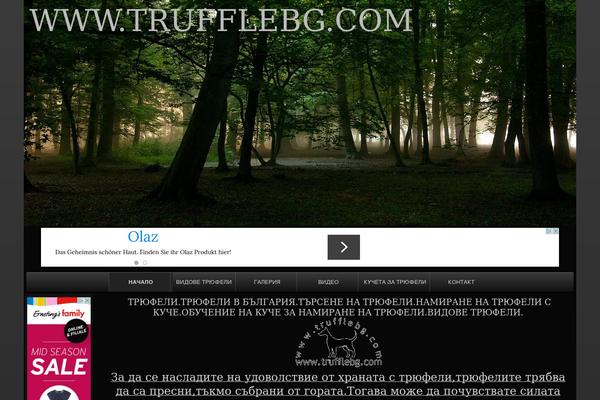 raindrops theme site design template sample