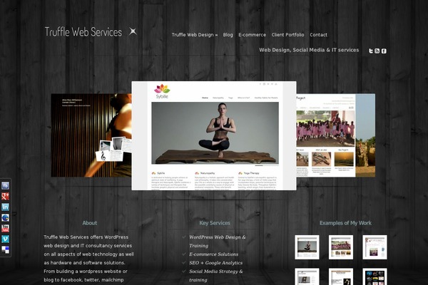 Modest theme site design template sample