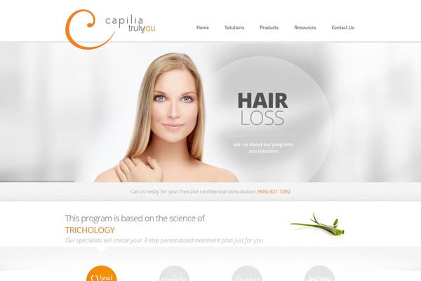 Zenite theme site design template sample