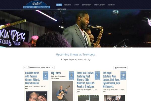 laundry-master theme websites examples