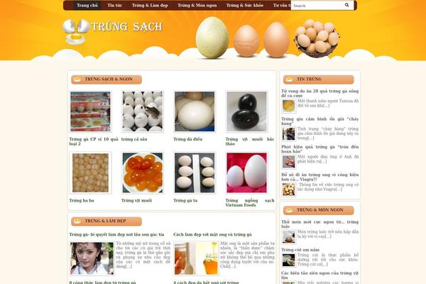 Webhosting theme site design template sample