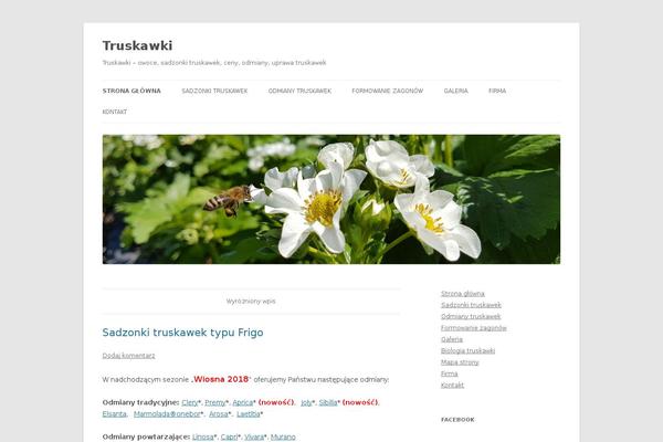 Site using Social Media Tabs plugin