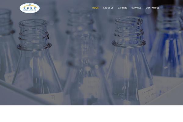 Bridge Child theme site design template sample