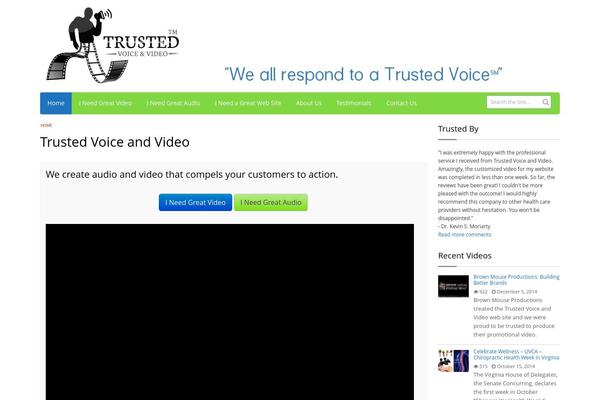Video theme site design template sample