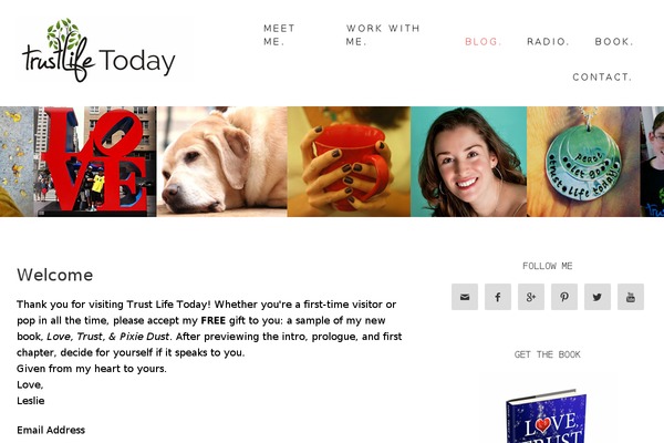 Beautiful Pro Theme theme site design template sample