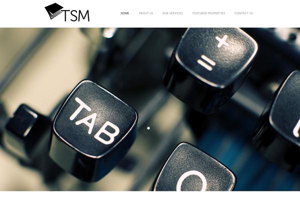 Startup theme site design template sample