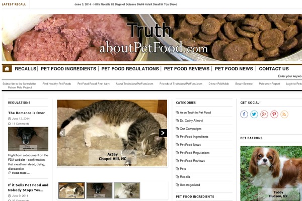 newsri theme websites examples