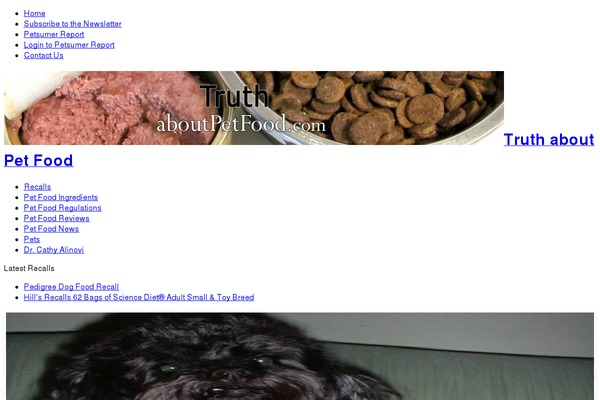Sahifa theme theme site design template sample