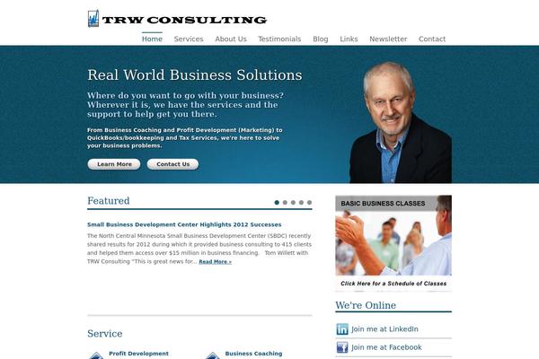 consultant theme site design template sample