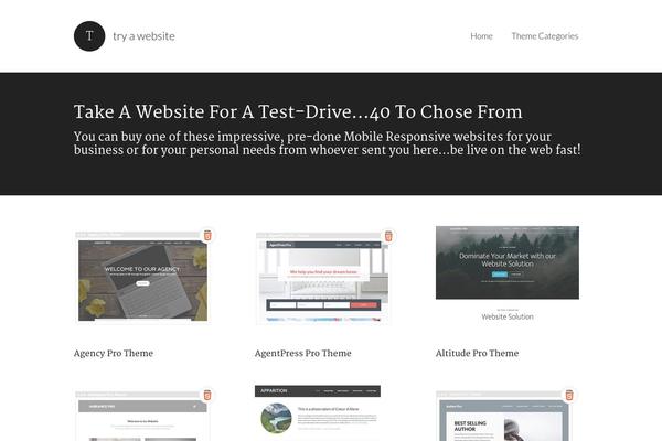 Modern Portfolio theme site design template sample