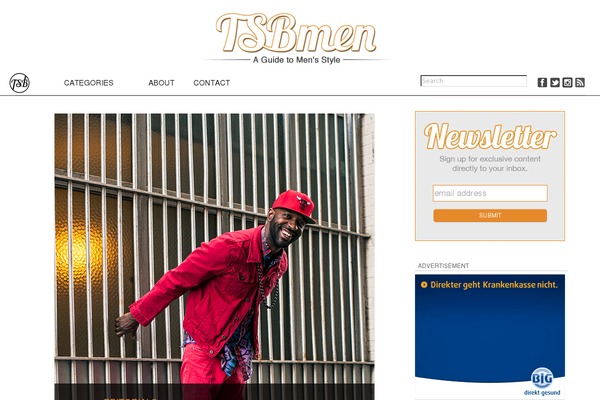 Chic Lite theme site design template sample