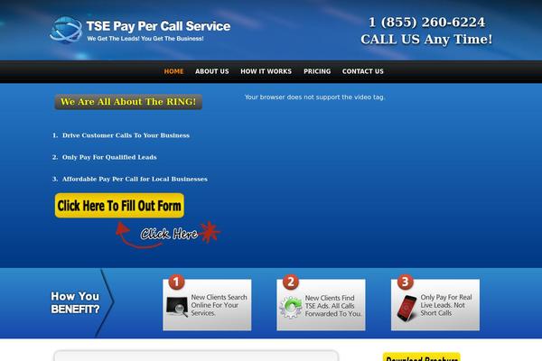 tseleads.com site used WordPress