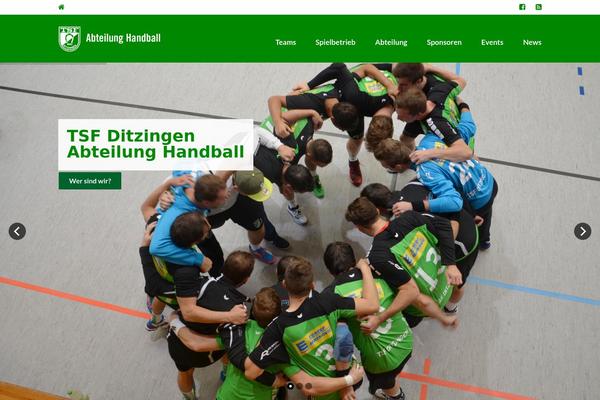 tsf-ditzingen-handball.de site used Sport