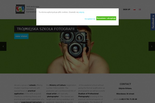 Elegant theme site design template sample