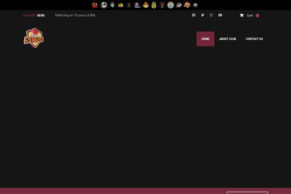 Splash theme site design template sample