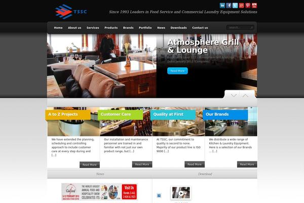 TheSource theme site design template sample