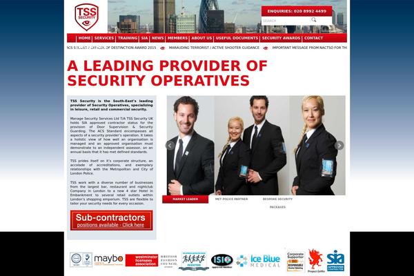 Tss theme site design template sample