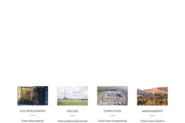 Petroleum theme site design template sample