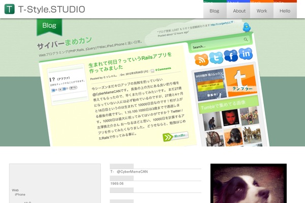 Site using Dynamic "To Top" Plugin plugin