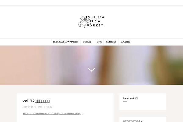 Amadeus theme site design template sample