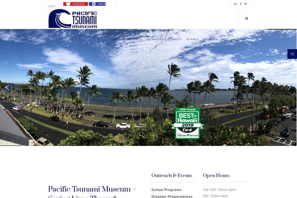 tsunami.org site used Business-consulting