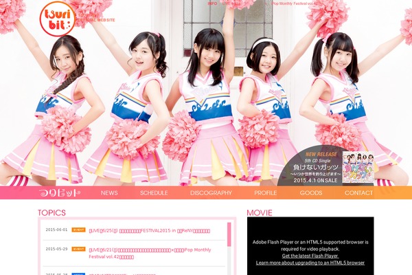 Site using bxSlider integration for WordPress plugin
