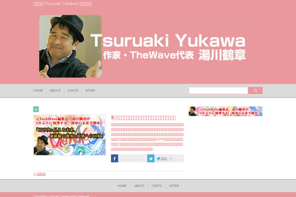 tsuruaki.com site used Thewave1