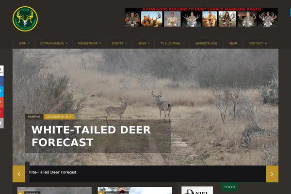 Solidus-theme theme site design template sample