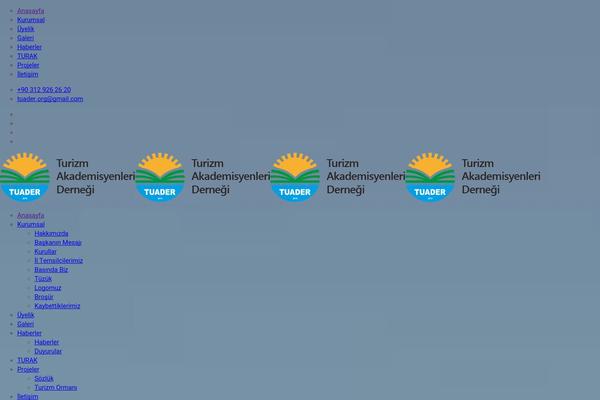Site using Litespeed-cache plugin