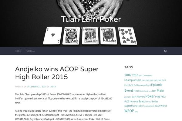 Accent theme site design template sample