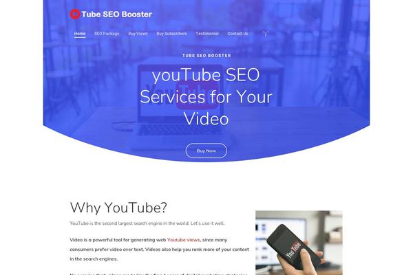 Site using Wc-payoneer-payment-gateway plugin