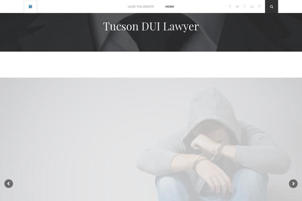 law_practice-child theme websites examples