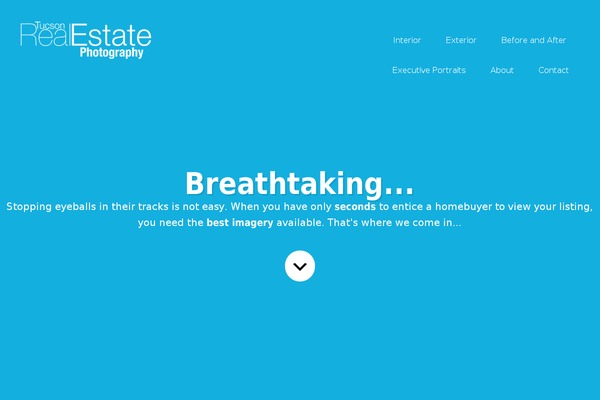 Centric Pro theme site design template sample