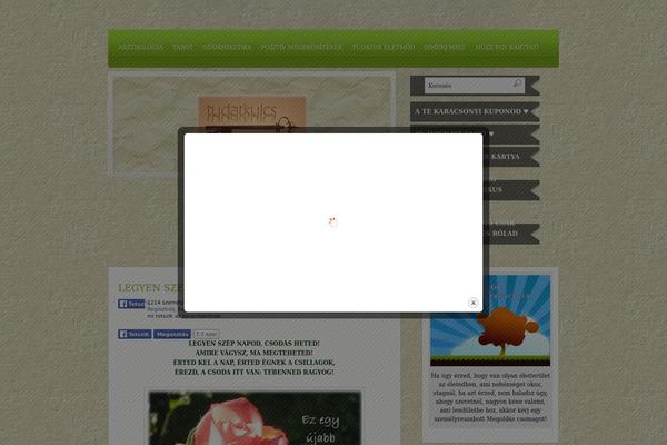 Site using WordPress Social Ring (Facebook Like, Google +1, ReTweet, LinkedIn and Pin It) plugin
