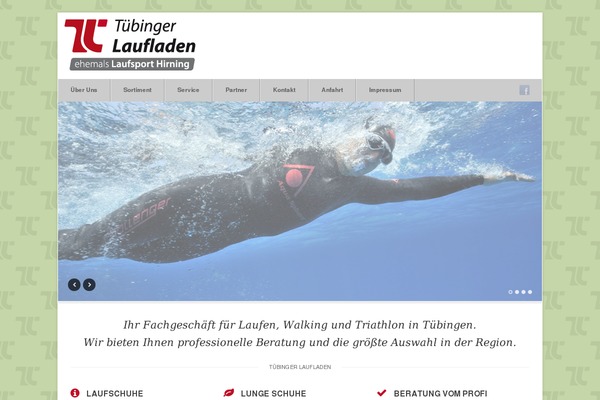 Berlin theme site design template sample