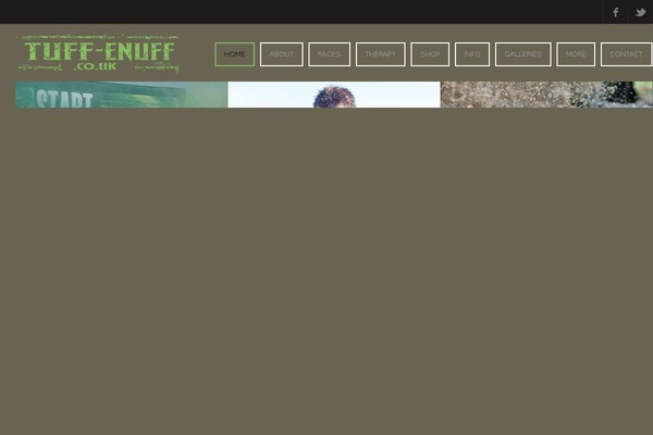 Fitness theme site design template sample