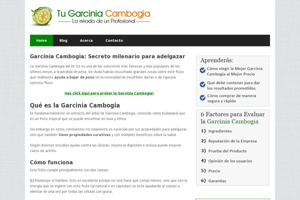 Report theme site design template sample