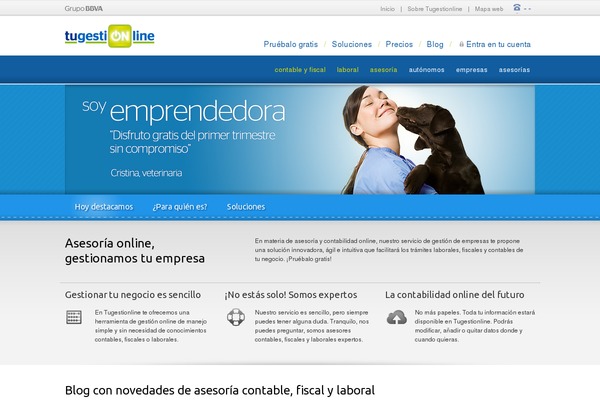 startex theme websites examples