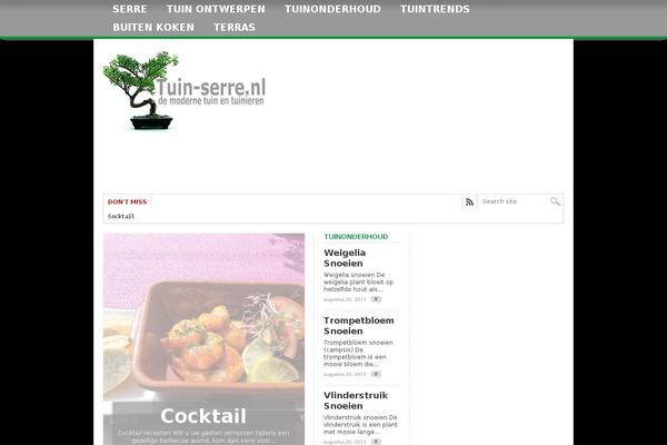 Max Mag theme site design template sample