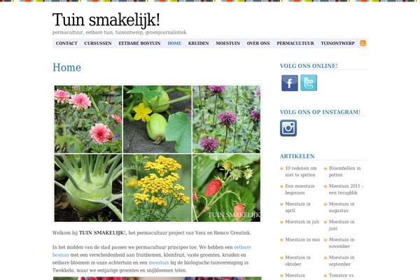 Undedicated theme site design template sample