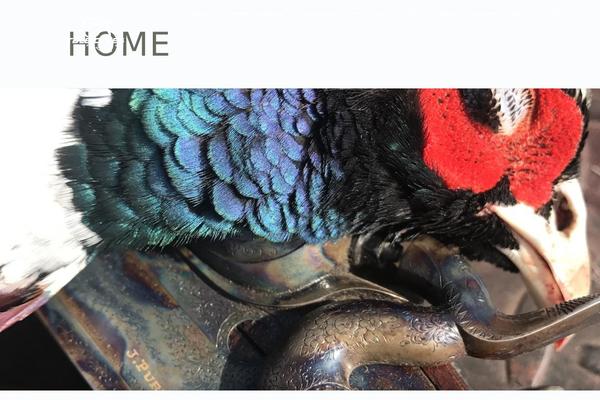 tulecreek.com site used Embark-child