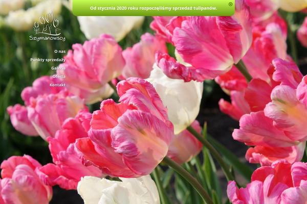 Site using Css3_web_pricing_tables_grids plugin