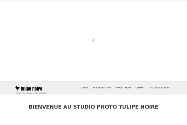 Skt-white-pro theme site design template sample