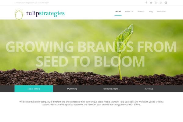 tulipstrategies.com site used Haxon