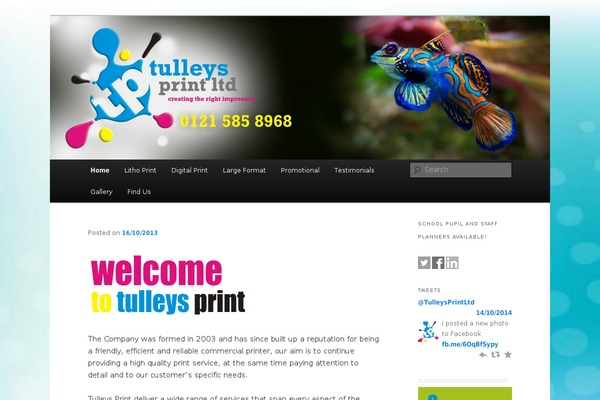 Site using EP Social Widget plugin